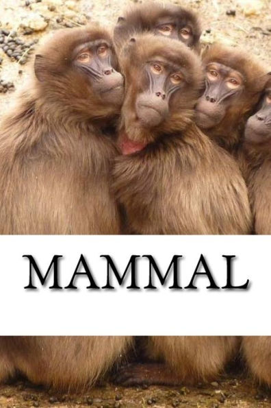 Mammal (Mammals)