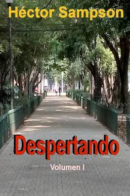 Despertando: Volúmen I (Despertares) (Spanish Edition)
