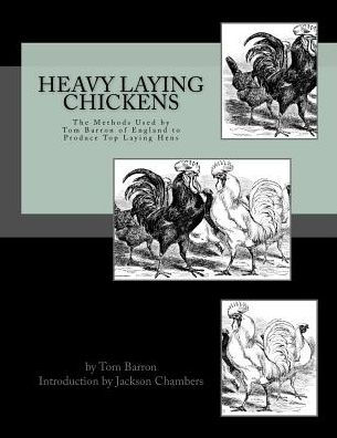 Heavy Laying Chickens: The Methods Used By Tom Barron Of England To Produce Top Laying Hens