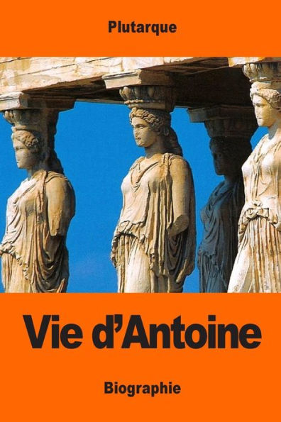 Vie D'Antoine (French Edition)