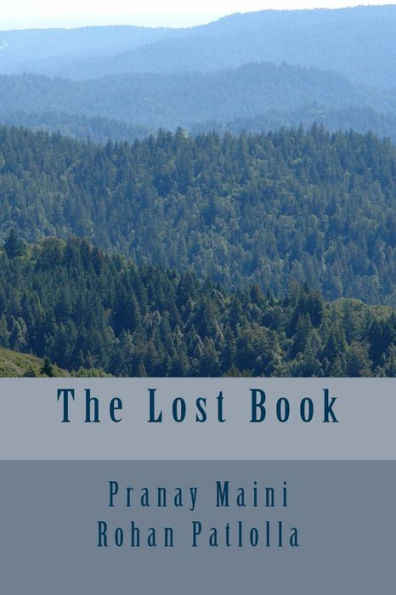 The Lost Book - 9781543094091