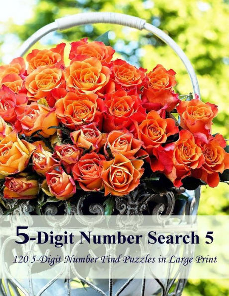 5-Digit Number Search 5: 120 5-Digit Number Find Puzzles In Large Print