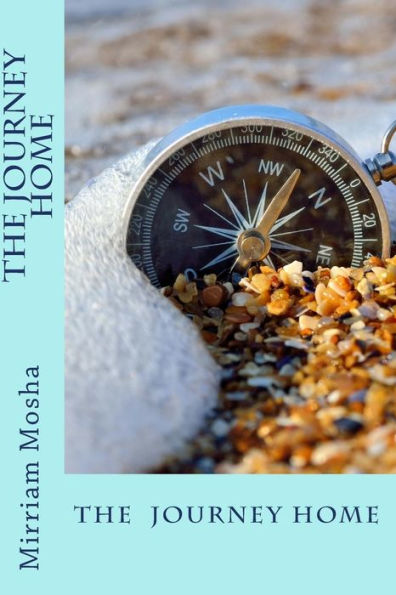 The Journey Home - 9781543197358