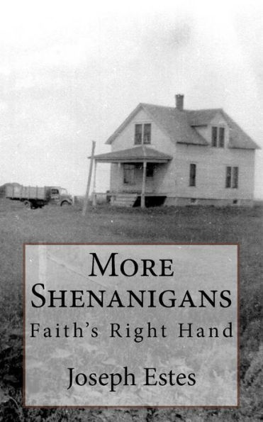 More Shenanigans: Faith?S Right Hand