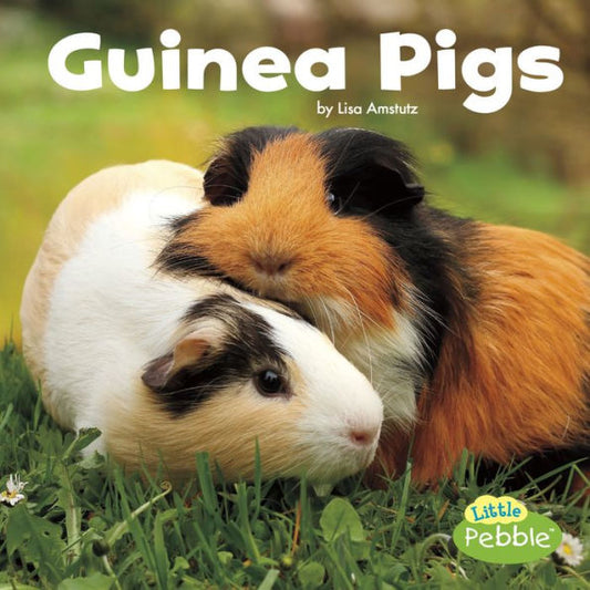 Guinea Pigs (Our Pets) - 9781543501650
