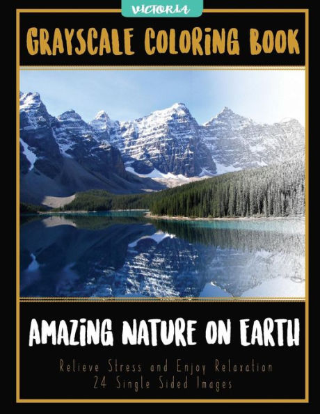 Amazing Nature On Earth: Landscapes Grayscale Coloring Book Relieve Stress And Enjoy Relaxation 24 Single Sided Images (Grayscale Coloring Books For Stress Relief & Mindfulness)