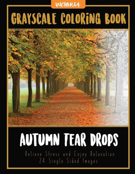 Autumn Tear Drops Landscapes: Grayscale Coloring Book Relieve Stress And Enjoy Relaxation 24 Single Sided Images (Grayscale Coloring Books For Stress Relief & Mindfulness)