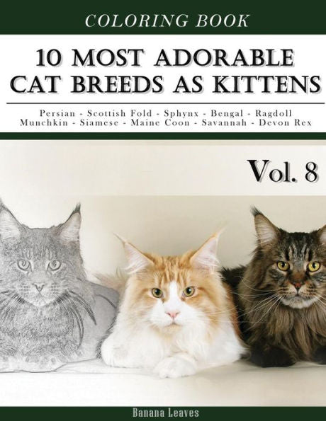 10 Most Adorable Cat Breeds As Kittens-Animal Coloring Book Included Persian - Scottish Fold - Sphynx - Bengal - Ragdoll - Munchkin - Siamese - Maine ... (Creative & Mindfulness Sketch Coloring Book)