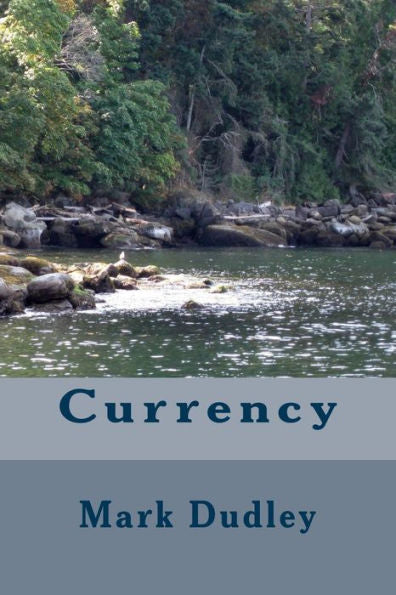 Currency - 9781544077253