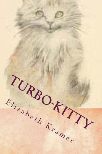 Turbo-Kitty: Story 2