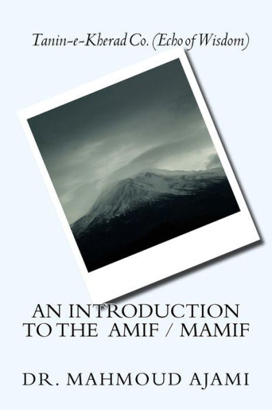 An Introduction To The Amif / Mamif: Management Model Based On Learning Theories And Models