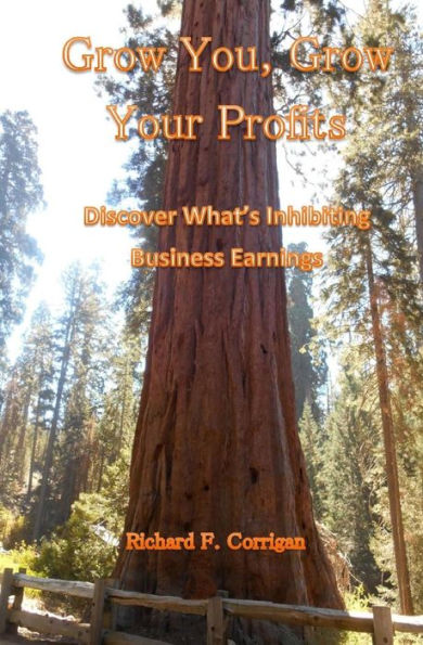 Grow You, Grow Your Profits: Discover What’S Inhibiting Business Earnings