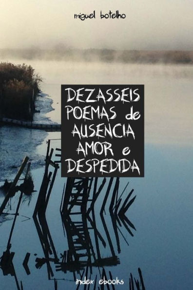 Dezasseis Poemas De Aus?ncia, Amor E Despedida (Portuguese Edition)