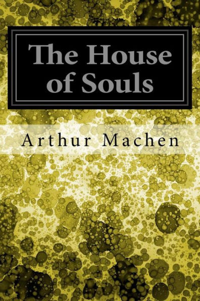 The House Of Souls - 9781545163429