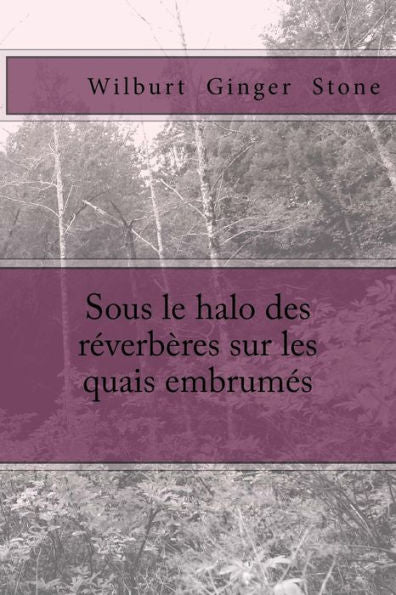 Sous Le Halo Des R?verbEres Sur Les Quais Embrum?s (Inquiries Of D?tective Devrinne) (Volume 2) (French Edition)