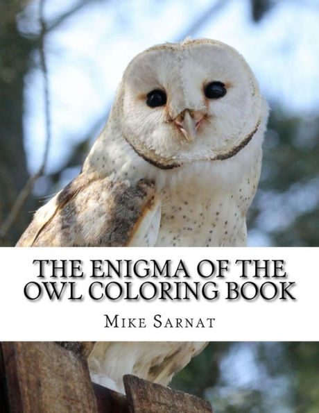 The Enigma Of The Owl Coloring Book