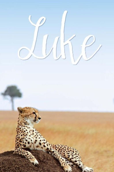 Luke - 9781545305935