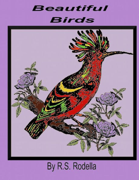 Beautiful Birds - 9781545388051