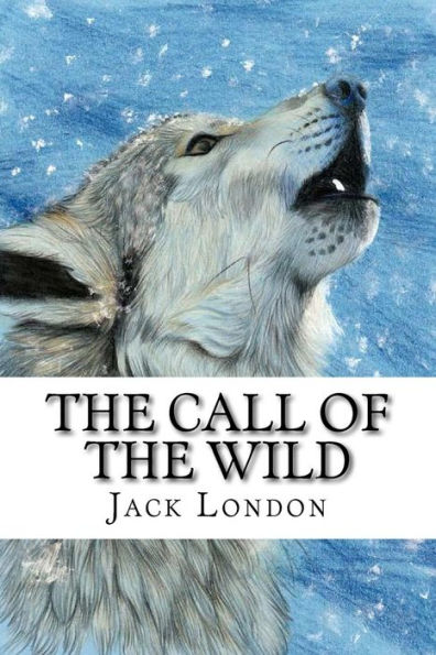 The Call Of The Wild - 9781545395745