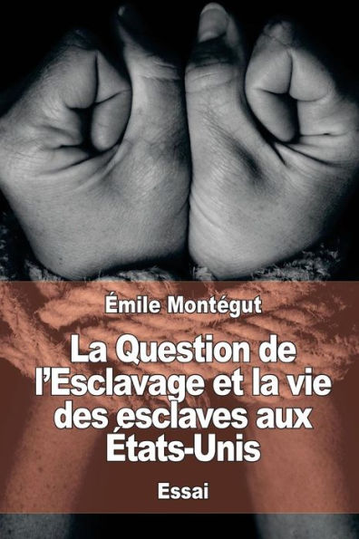La Question De L’Esclavage Et La Vie Des Esclaves Aux etats-Unis (French Edition)