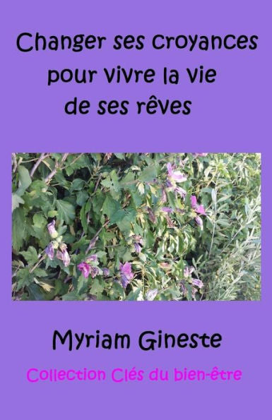 Changer Ses Croyances Pour Vivre La Vie De Ses Rêves (Collection Clés Du Bien-Être) (French Edition)