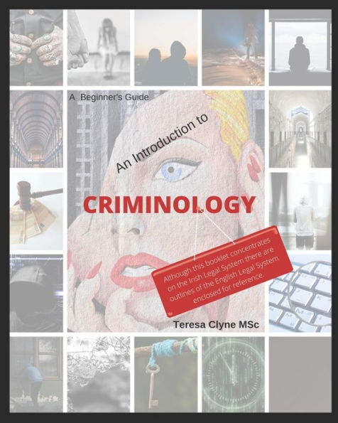 A Beginner's Guide - An Introduction To Criminology: A Plain English Guide To Criminology
