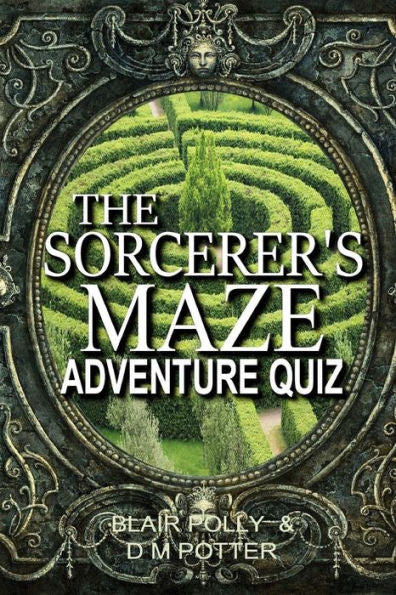 The Sorcerer's Maze (You Say Which Way Adventure Quiz)