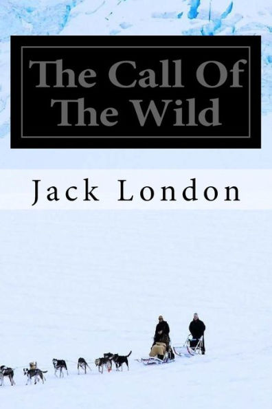 The Call Of The Wild - 9781546336952