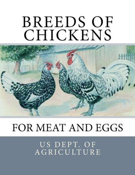 Breeds Of Chickens For Meat And Eggs (Chicken Breeds)