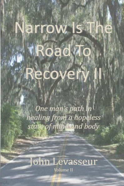 Narrow Is The Road To Recovery Ii