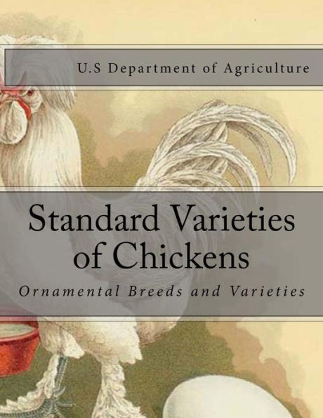 Standard Varieties Of Chickens: Ornamental Breeds And Varieties