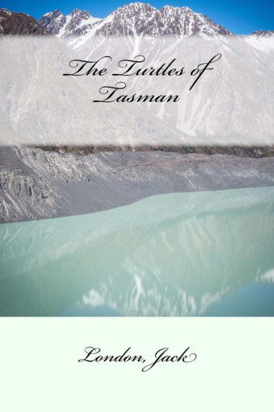 The Turtles Of Tasman - 9781546446316