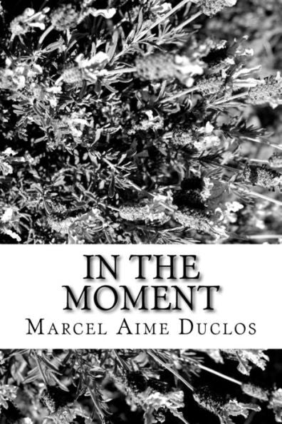 In The Moment - 9781546452751