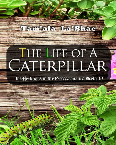 The Life Of A Caterpillar Workbook: The Healing Is In The Process And It's Worth It!