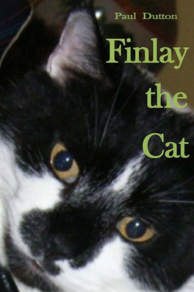Finlay The Cat