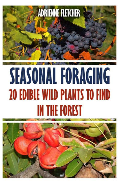 Seasonal Foraging: 20 Edible Wild Plants To Find In The Forest