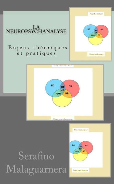 La Neuropsychanalyse: Enjeux Théoriques Et Pratiques (French Edition)