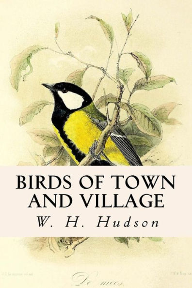 Birds Of Town And Village - 9781546551973