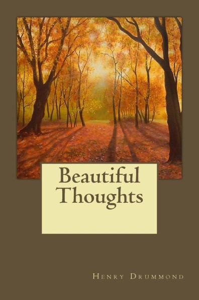 Beautiful Thoughts - 9781546573395