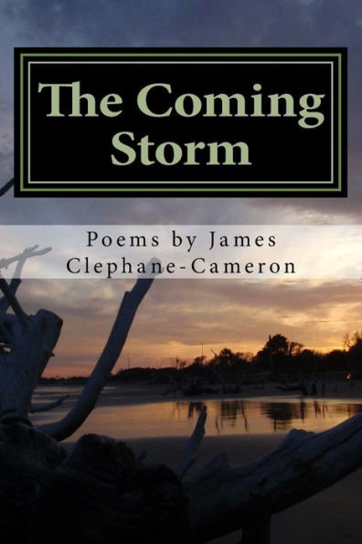 The Coming Storm - 9781546575825