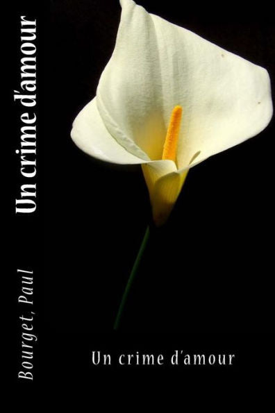 Un Crime D'Amour (French Edition) - 9781546651109