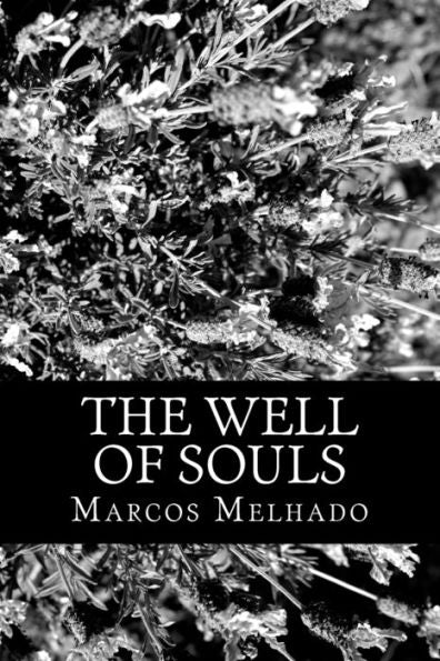 The Well Of Souls