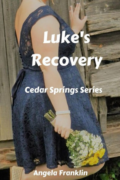 Luke's Recovery (Cedar Spring Series)