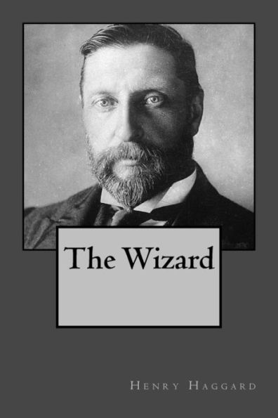The Wizard - 9781546915201