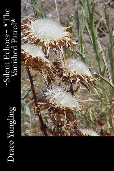 ~Silent Echoes~ *The Vanished Patrol* (Volume 2)