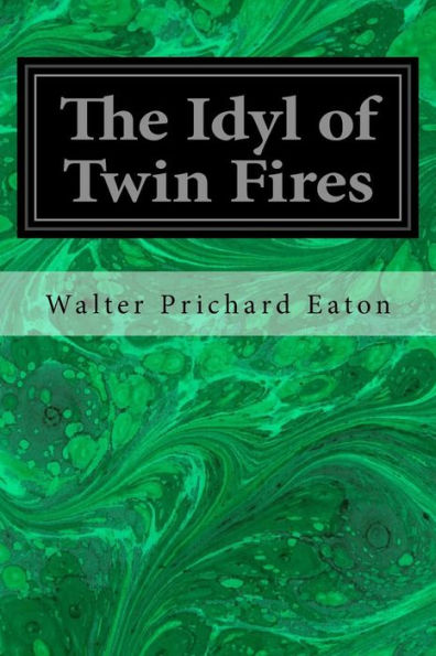 The Idyl Of Twin Fires - 9781547031368