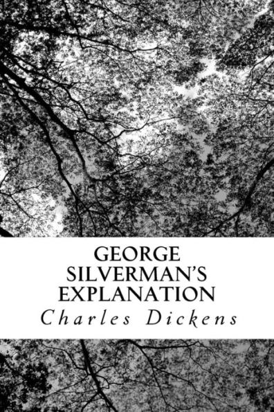 George Silverman's Explanation - 9781547033362