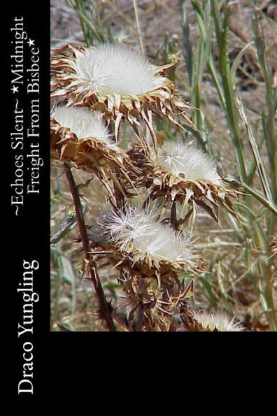 ~Silent Echoes~ *Midnight Freight From Bisbee* (Volume 6)