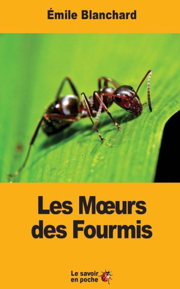 Les Mœurs Des Fourmis (French Edition)