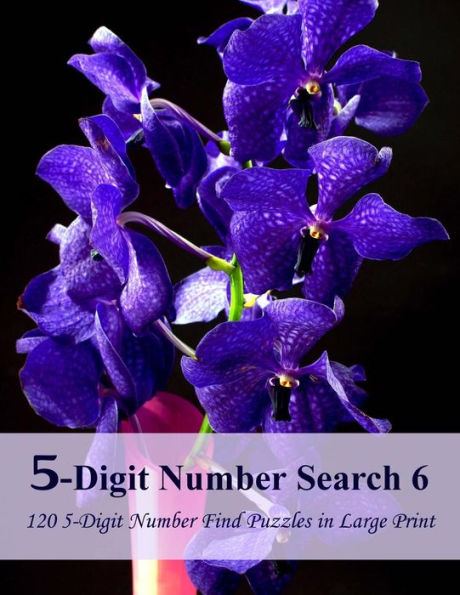 5-Digit Number Search 6: 120 5-Digit Number Find Puzzles In Large Print